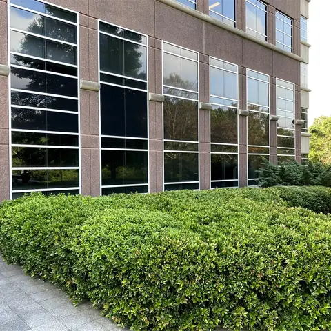 Commercial window film