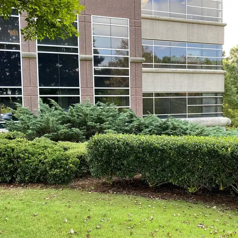 Commercial window film