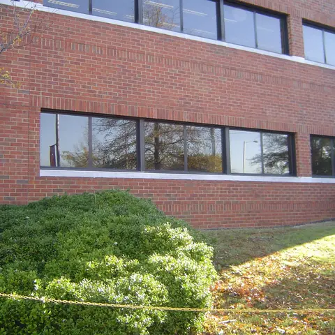 Commercial window film