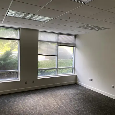 Commercial window film