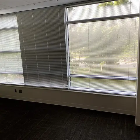 Commercial window film